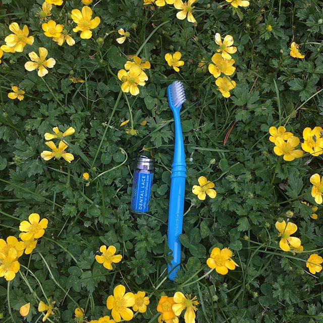 Choose your Toothbrush Wisely