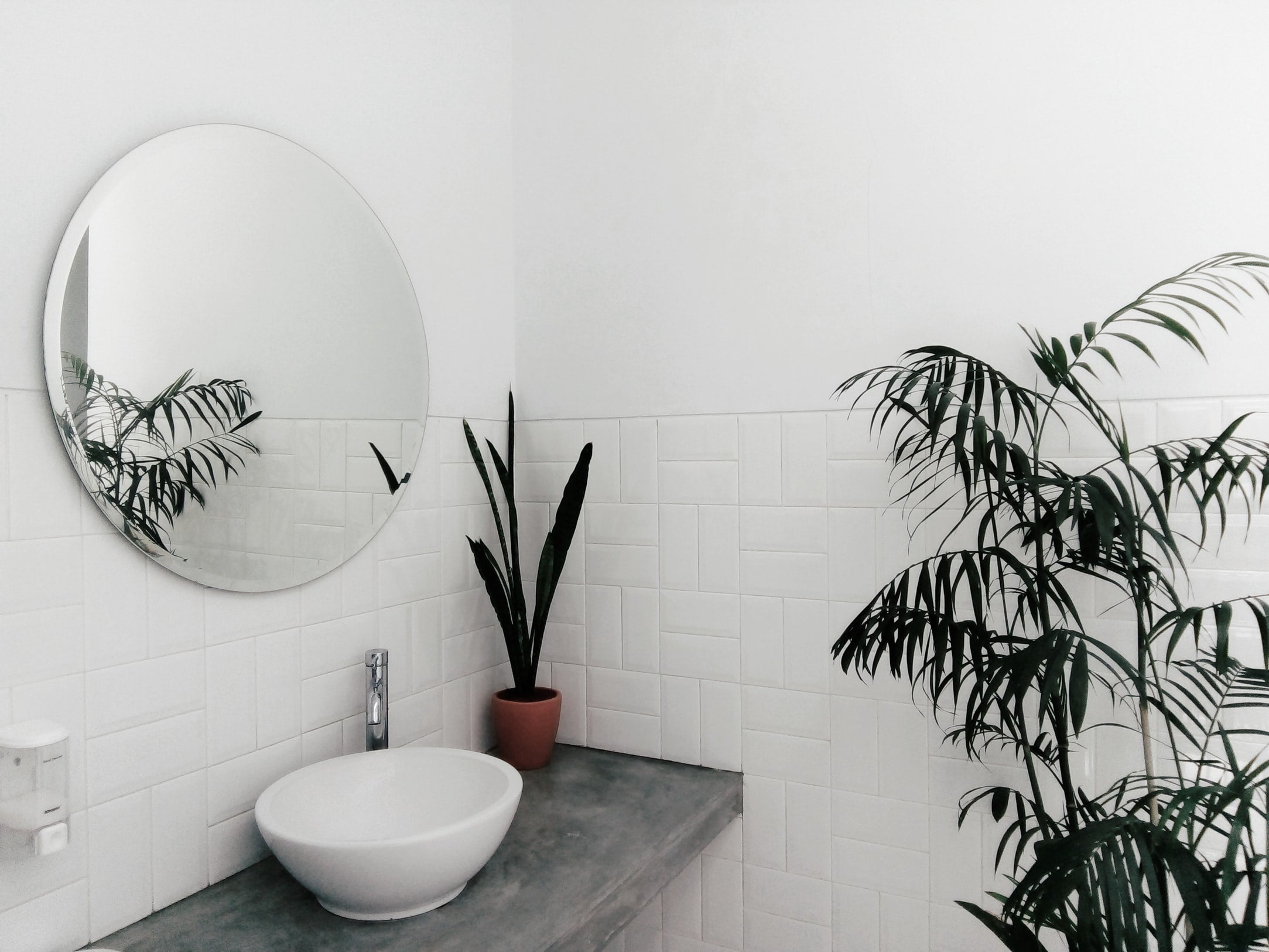 5 Plastic Free Bathroom Swaps Guest Blog by: Natracare