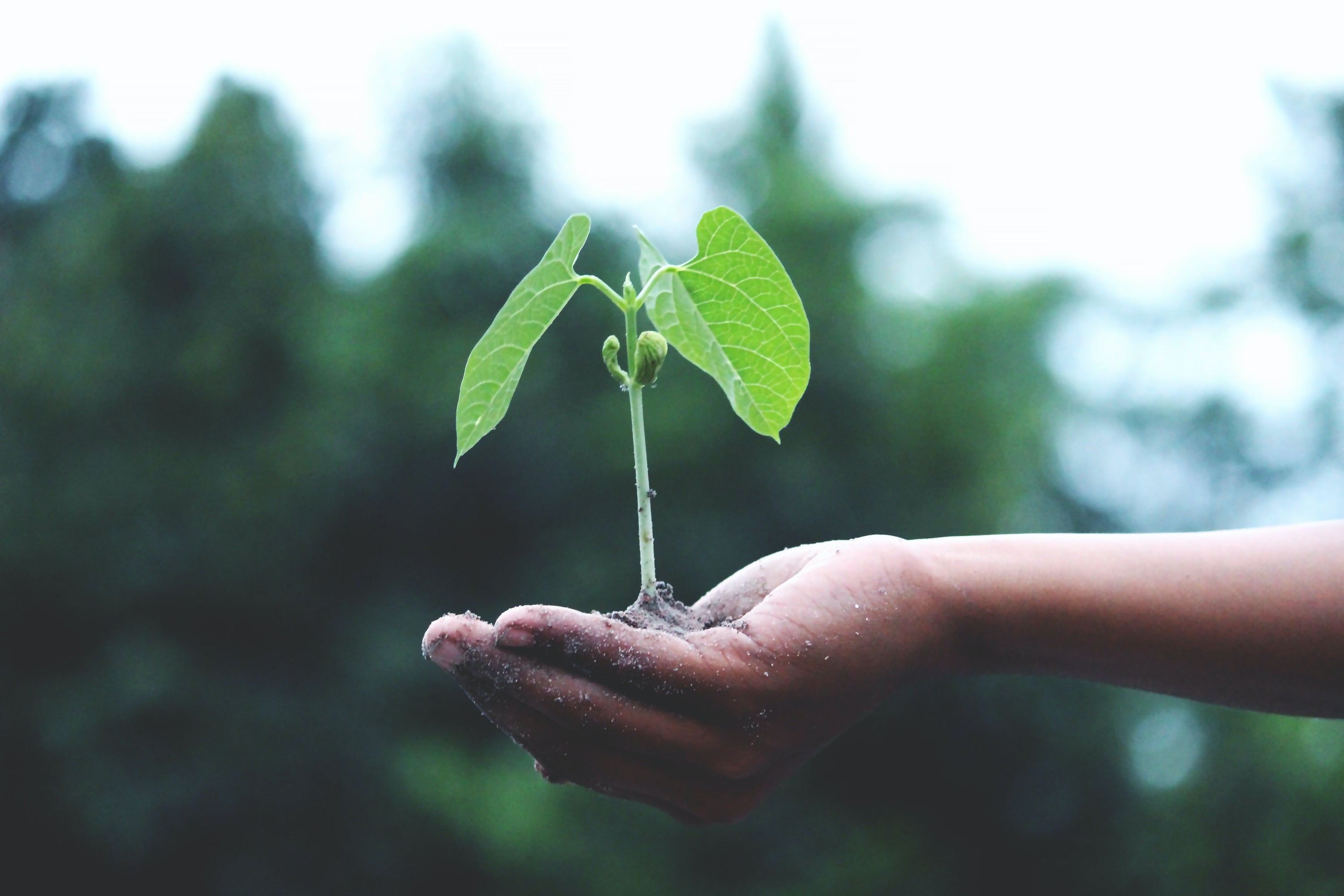 Guest Blog by Joe Rees: Stressed Entrepreneurs Can Use These Tips to Be Proactive About Climate Change